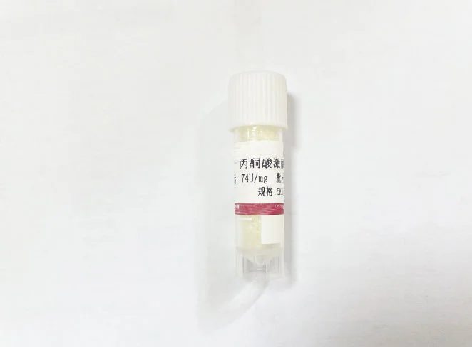 pyruvate kinase pk 1