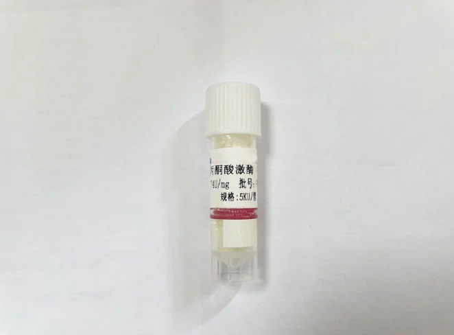 pyruvate kinase pk 3